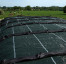 GRILLE DE PROTECTION SILO VERTE 12x15 - 220g/m²