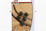 BOUCHONS PLASTIQUES  POUR VALVES TUBELESS x5