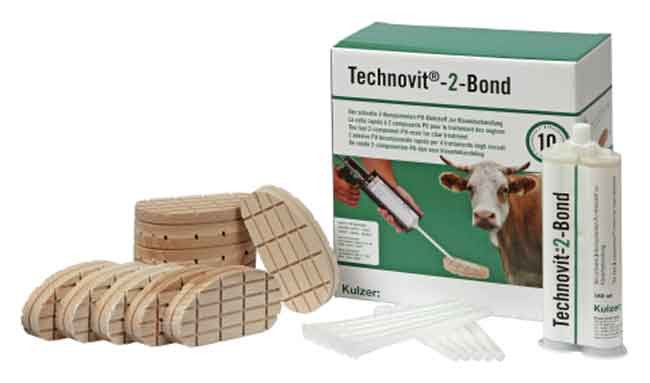 TECHNOVIT-2-BOND AVEC PISTOLET DE DOSAGE