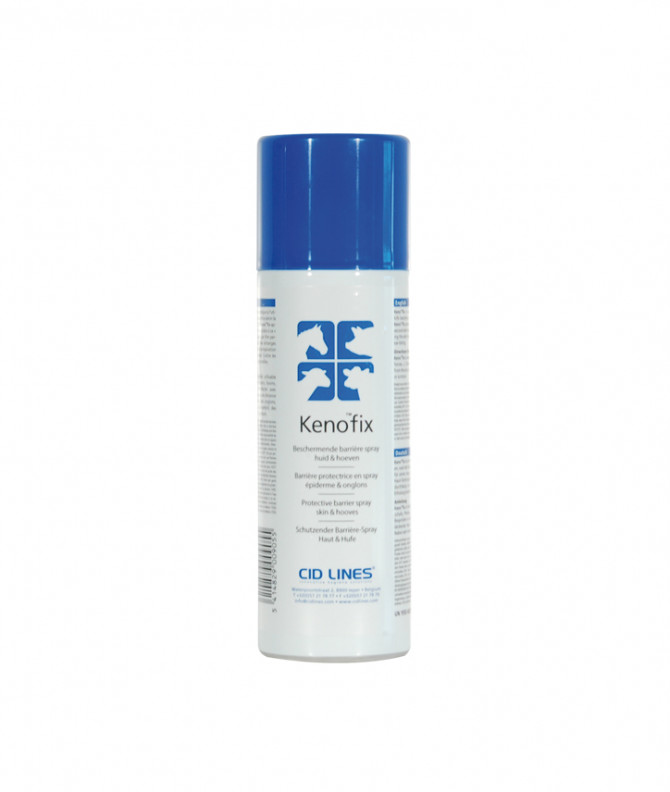 KENOFIX 300 ML