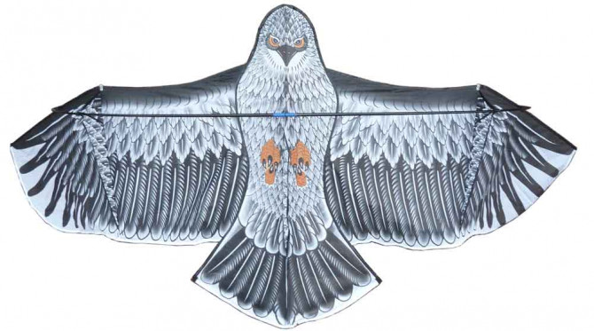 AIGLE EFFAROUCHEUR CERF VOLANT 1,80M