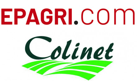 COLINET - SANDELION - AGRI BEAUJOLAIS